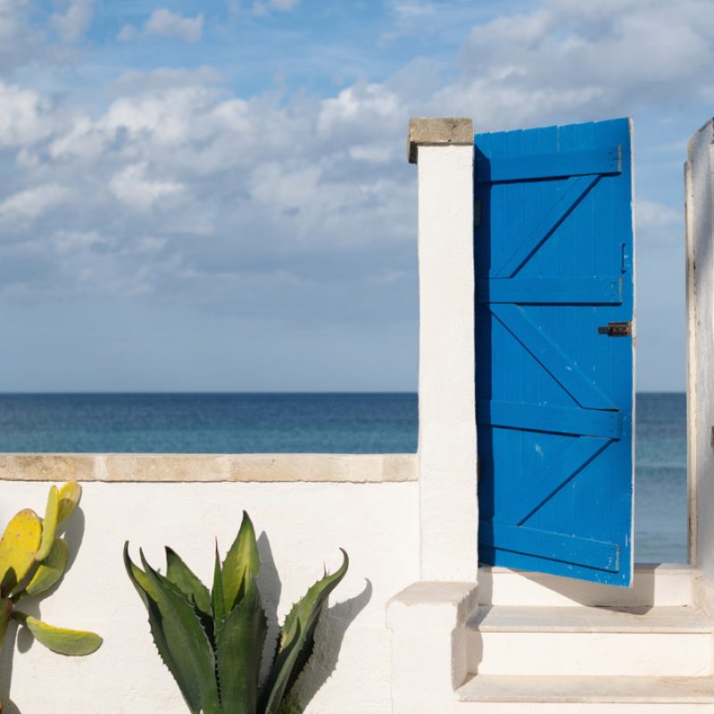 13_Canne Bianche - Porta-Blu